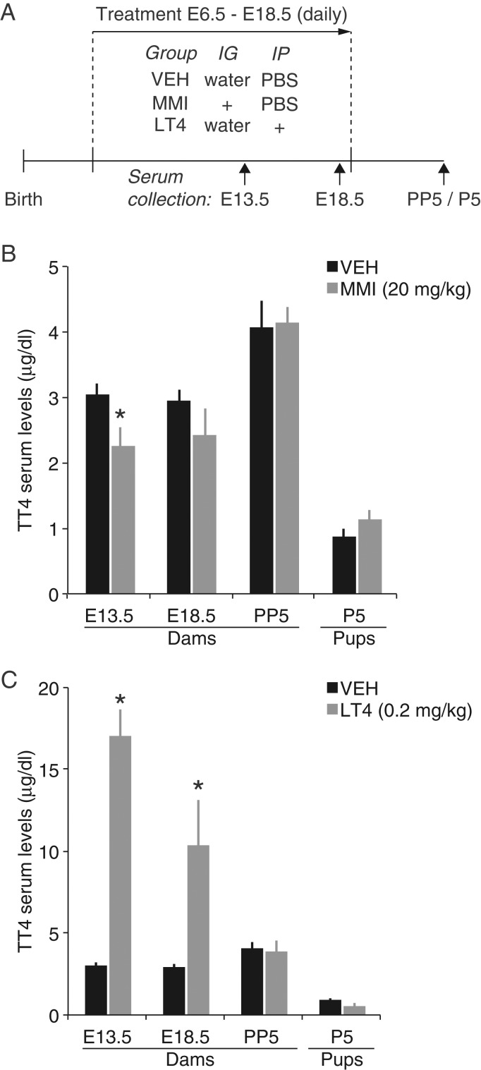 Figure 1.