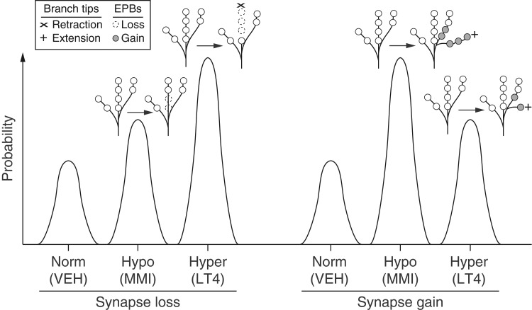 Figure 5.