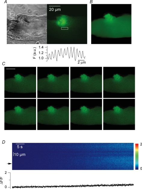 Figure 9