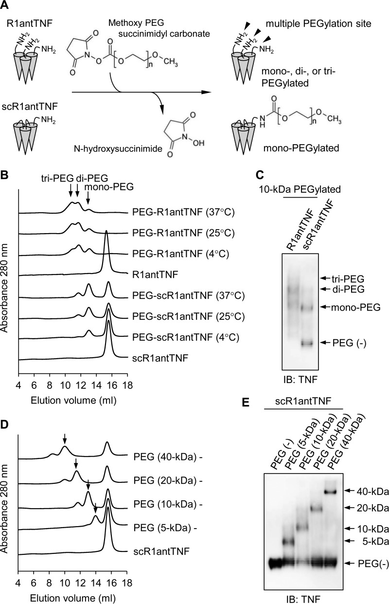 Figure 9.