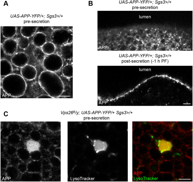 Fig. 6.