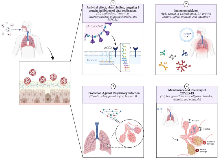 Figure 2