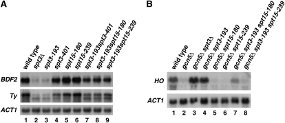 Figure 4.—