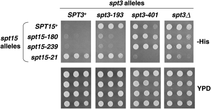 Figure 3.—