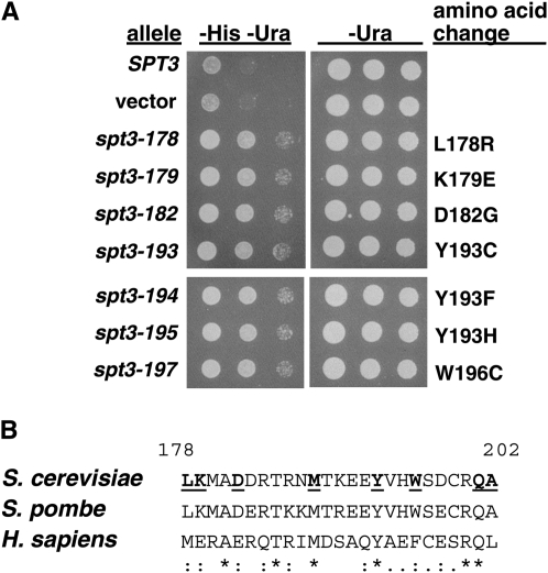 Figure 1.—