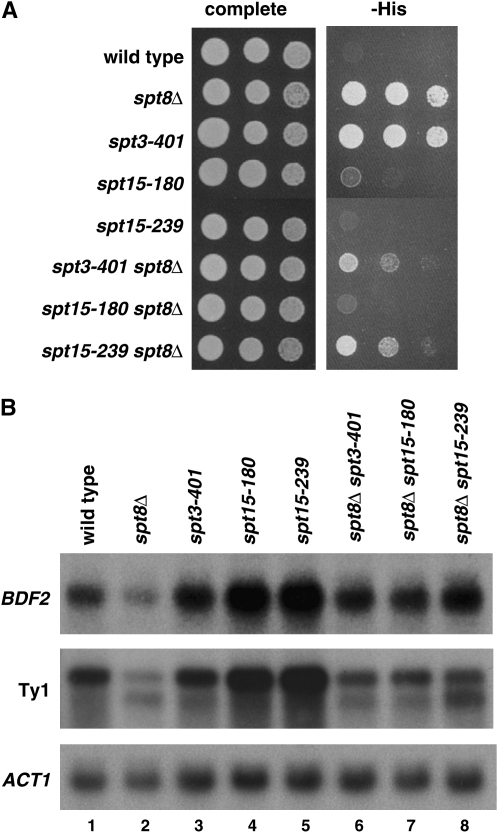 Figure 7.—