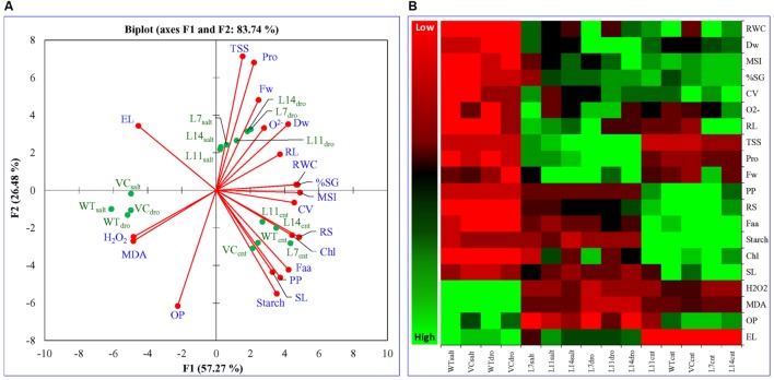 FIGURE 11