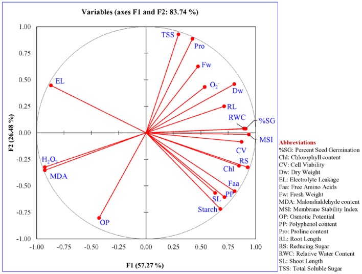 FIGURE 13