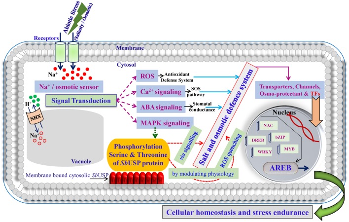 FIGURE 14