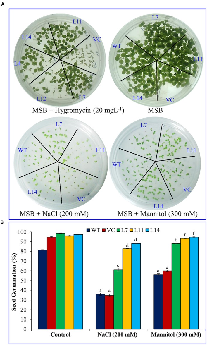 FIGURE 3