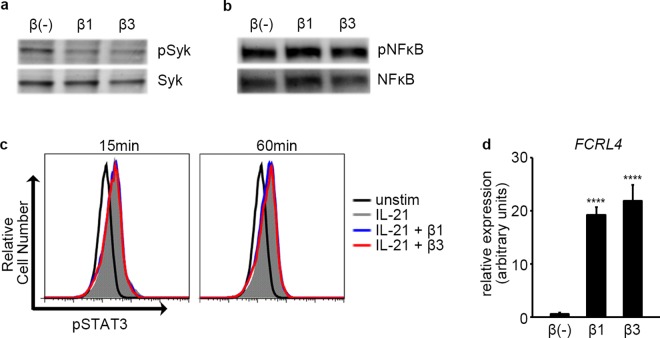 Fig 7