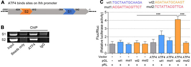 FIGURE 3