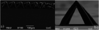 Figure 101