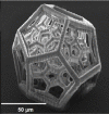 Figure 45