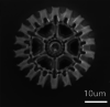Figure 21