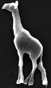 Figure 18