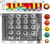 Figure 20