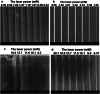 Figure 75