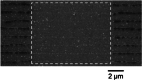 Figure 36