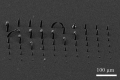 Figure 57