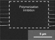 Figure 40