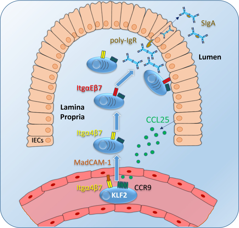 Figure 2