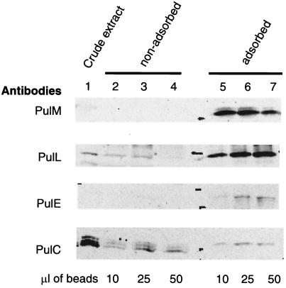 FIG. 6