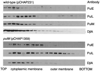 FIG. 7