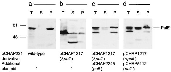 FIG. 8