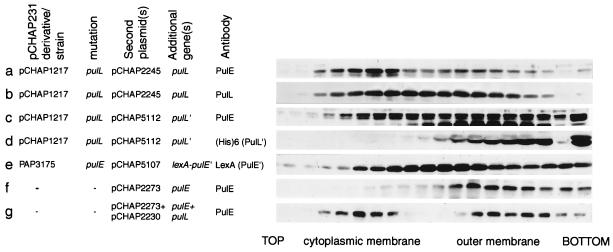 FIG. 9