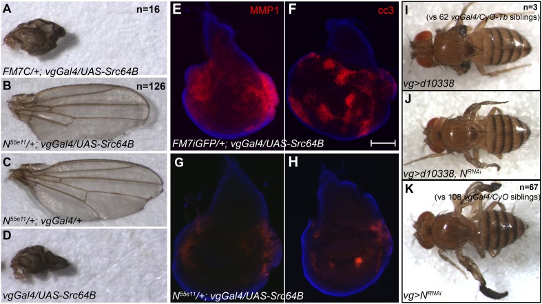 Figure 3—figure supplement 2.