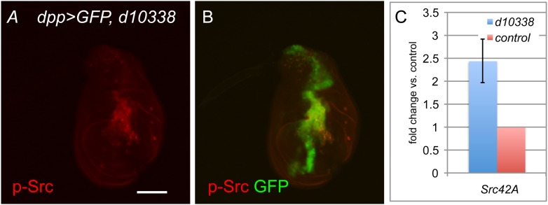 Figure 2—figure supplement 1.