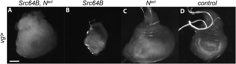 Figure 2—figure supplement 2.