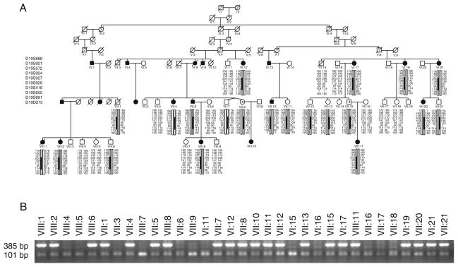 Fig. 29.1