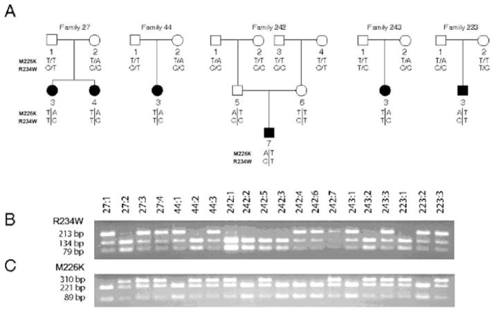 Fig. 29.3