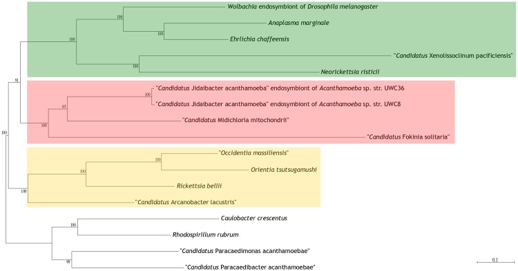 Fig. 2.