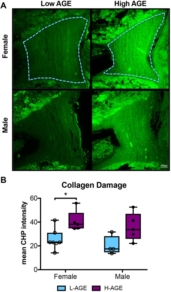 Fig. 8.