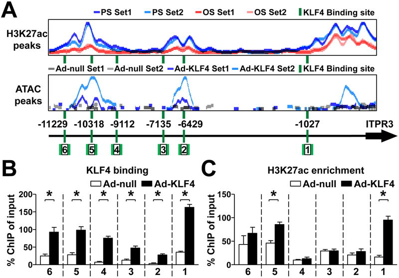 Figure 6.