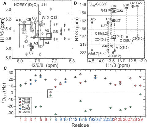 FIGURE 2.