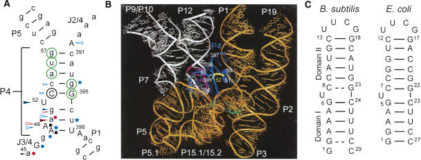 FIGURE 1.