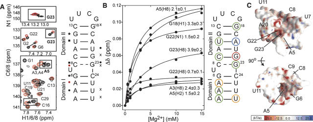 FIGURE 6.