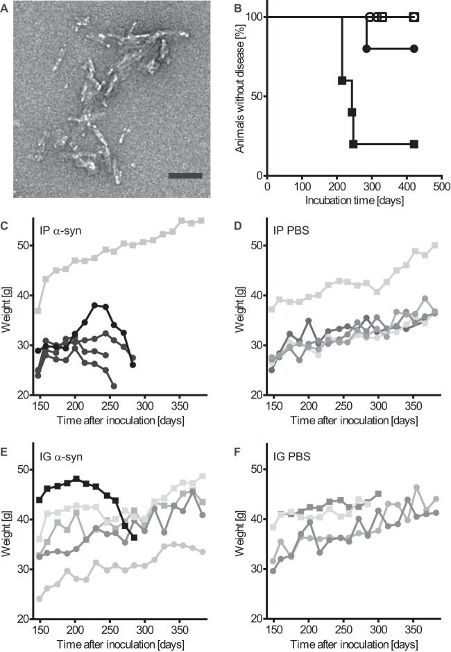 FIG 1