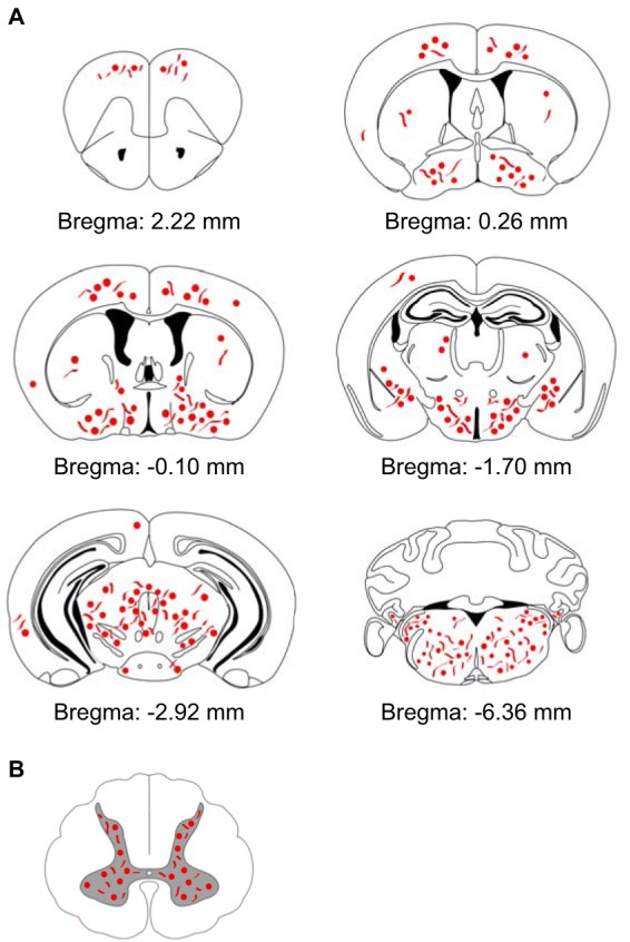 FIG 5