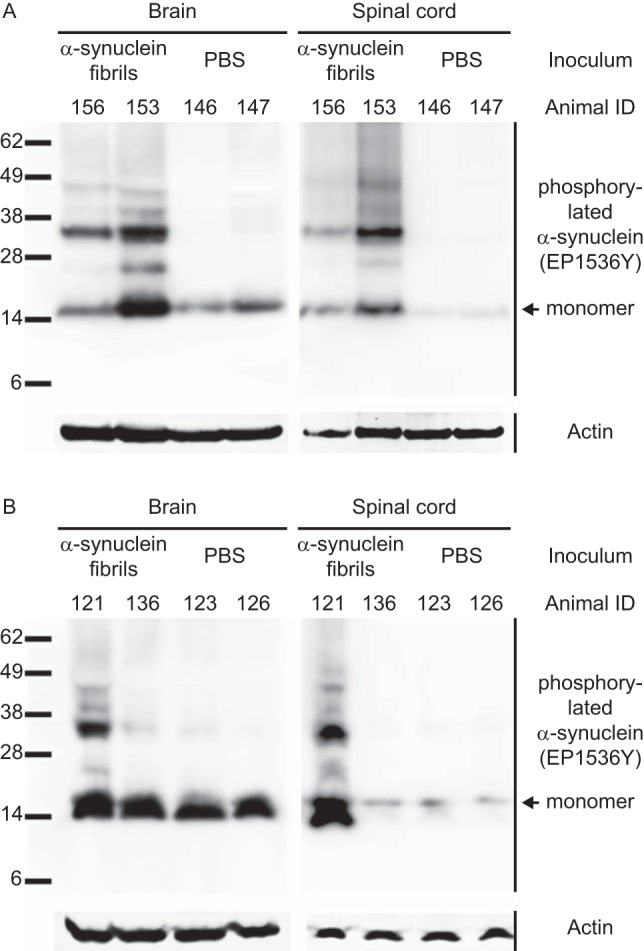 FIG 2