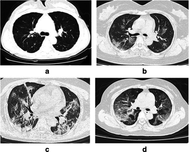 Fig. 6