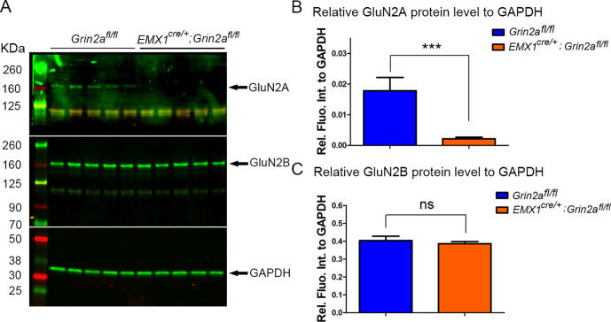 Figure 6—figure supplement 2.