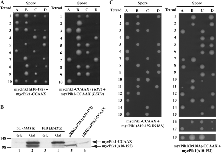 Figure 10.