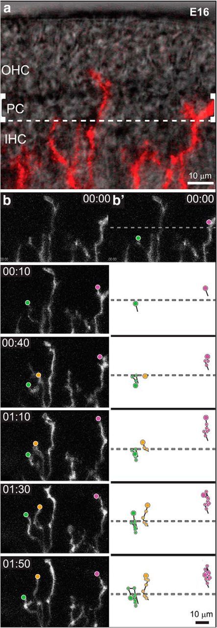 Figure 5.