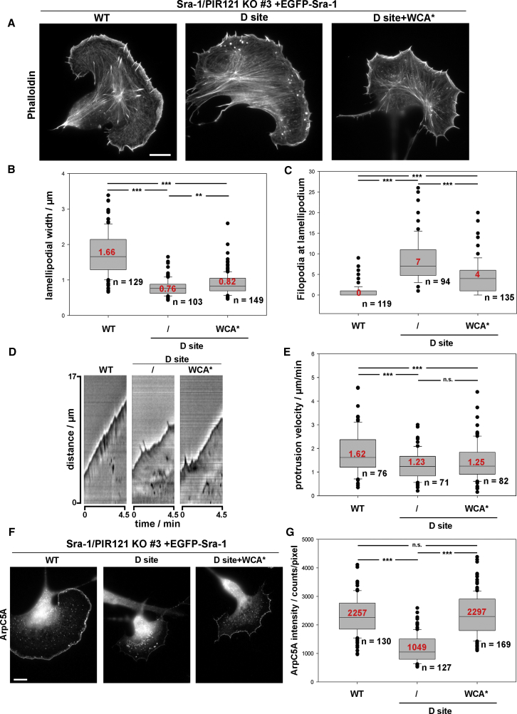 Figure 3