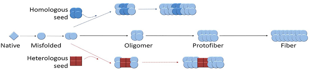 Fig. 12